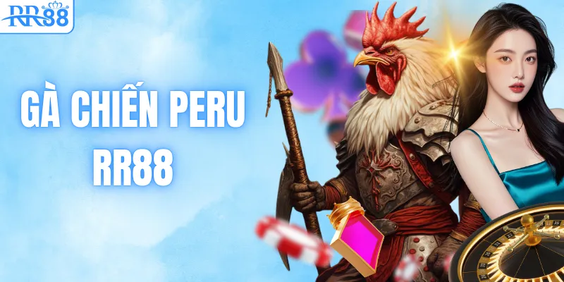 Gà Chiến Peru – Dòng Chiến Kê Tốc Độ Được Săn Đón Tại RR88 1 Gà Chiến Peru – Dòng Chiến Kê Tốc Độ Được Săn Đón Tại RR88