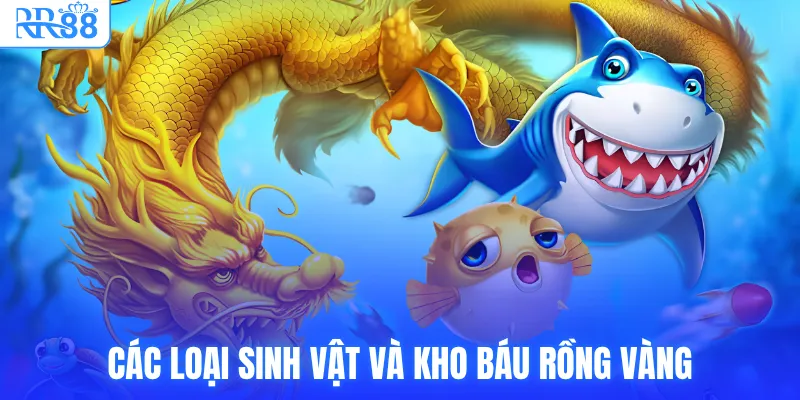 Các loại sinh vật và kho báu rồng vàngCác loại sinh vật và kho báu rồng vàng